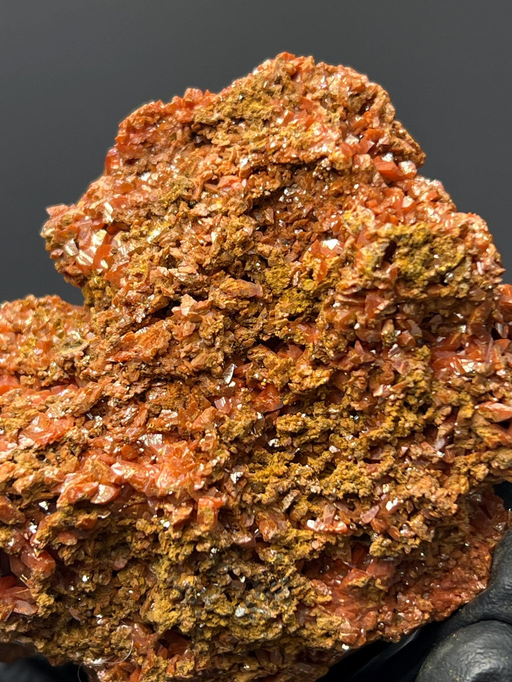 Adelaide Mine Crocoite Specimen - Tasmania Red Crystals - Crystal Gemstone AE 