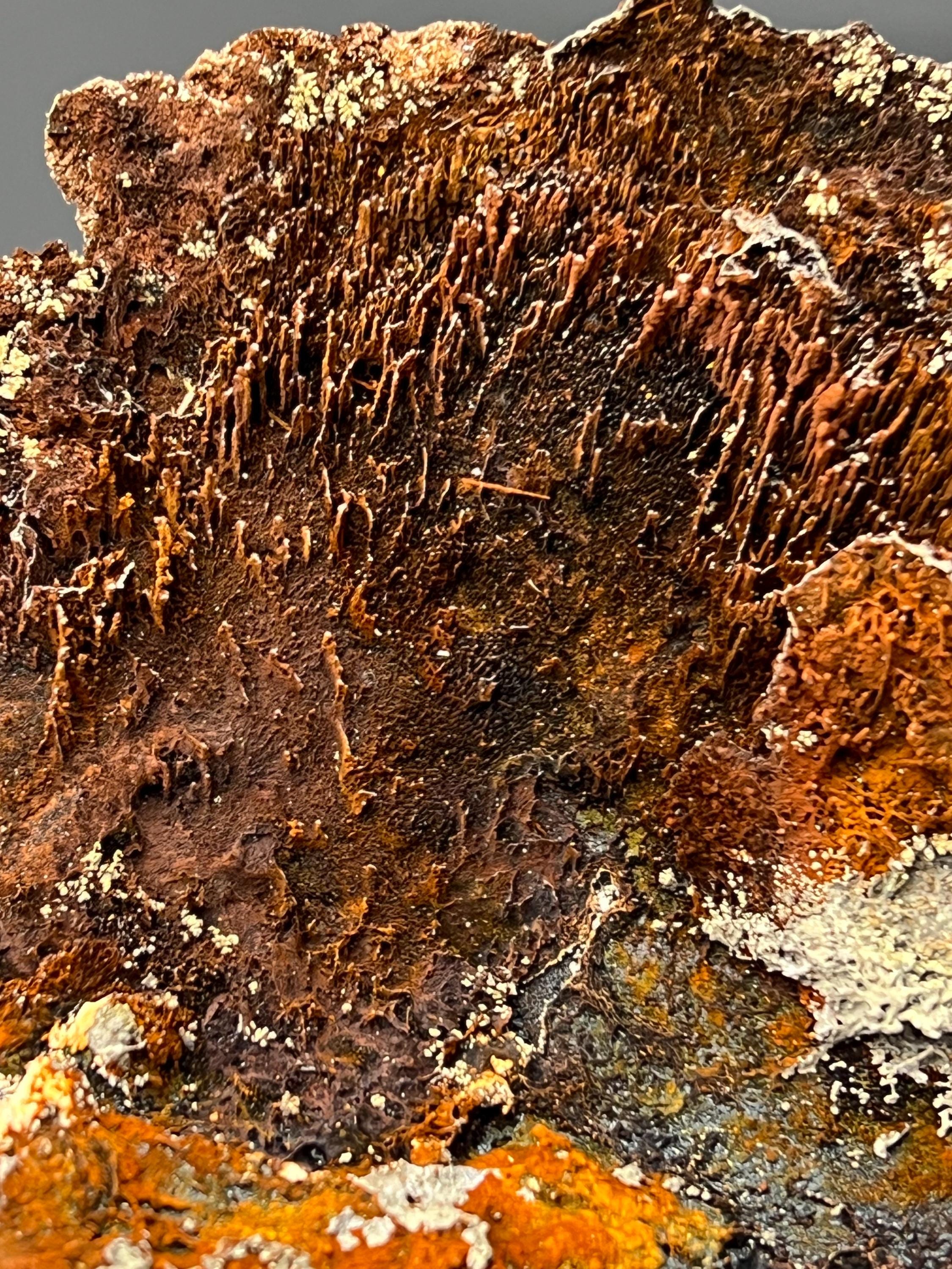 Museum Grade! Showy Limonite And Specularite With Stalactite Goethite Specimen - Crystal Gemstone AE 