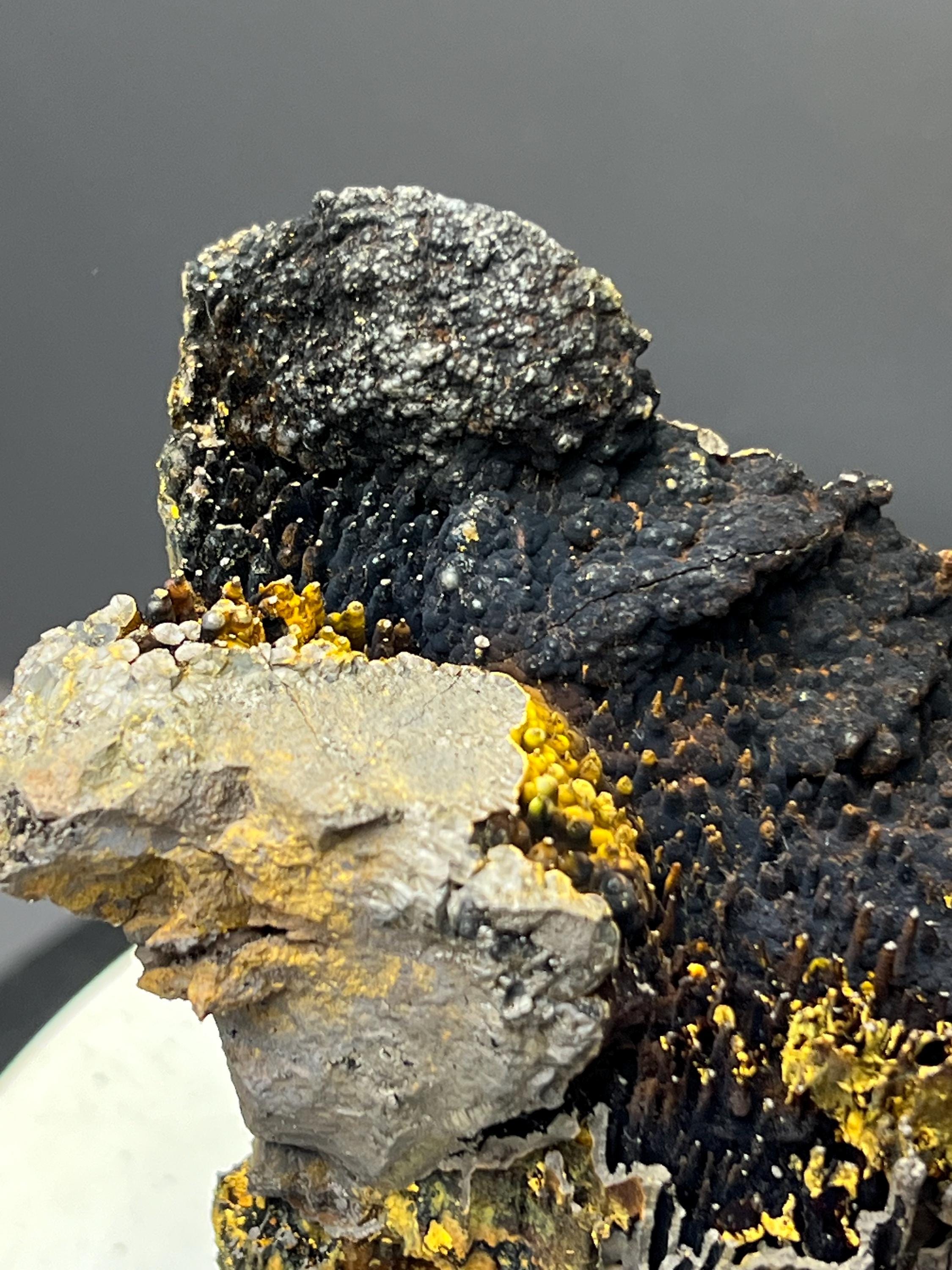Very Showy, Limonite And Specularite With Stalactite Goethite Specimen - Crystal Gemstone AE 
