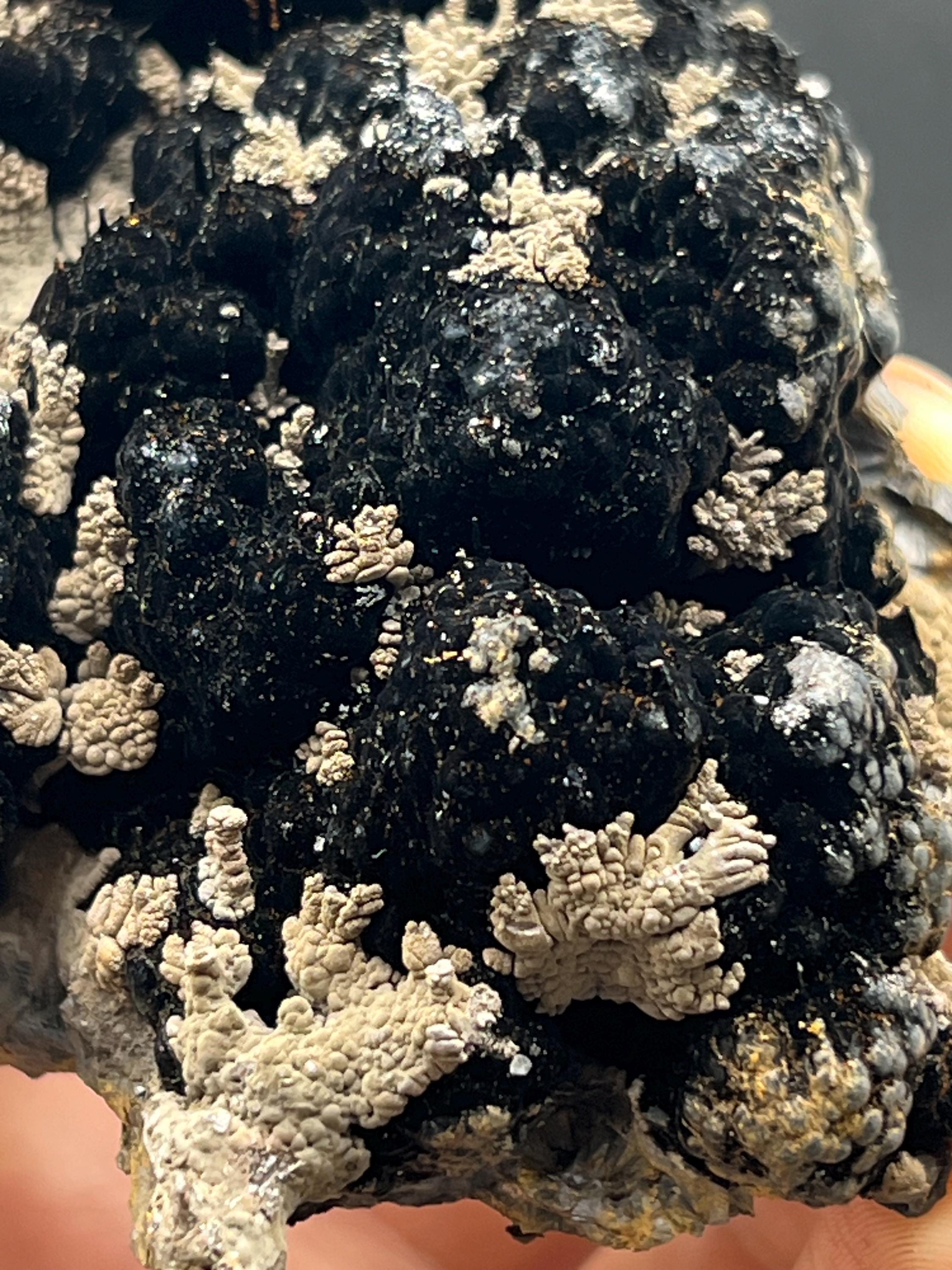 Limonite And Specularite On Stalactite Goethite - Crystal Gemstone AE 