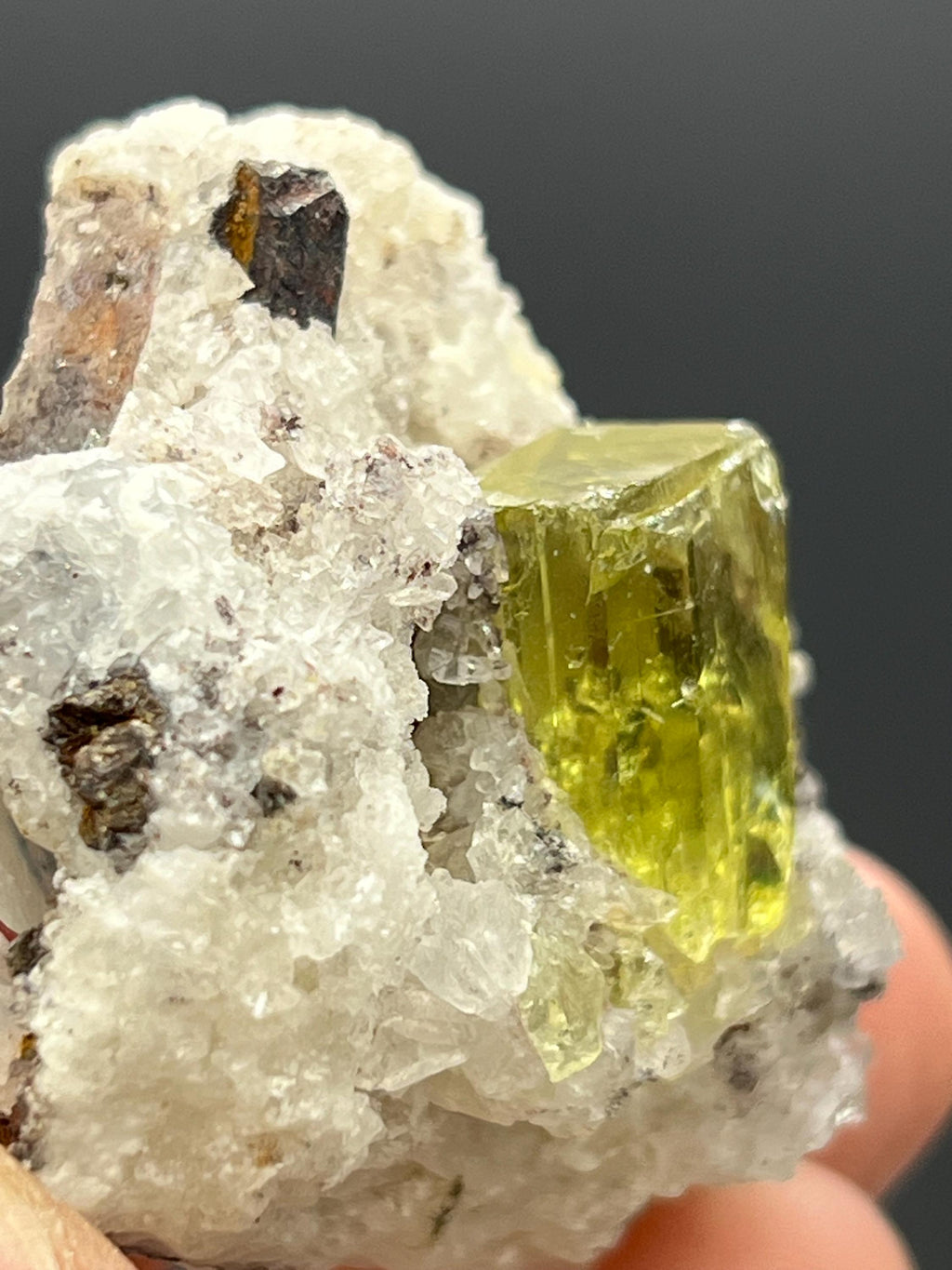 Apatite and black tourmaline on calcite, From Mexico - Crystal Gemstone AE 