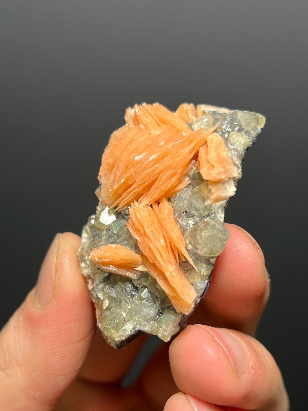 Cerussite And Barite On Galena Specimen, 68gram - Crystal Gemstone AE 