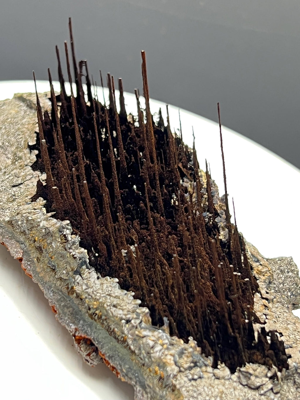 Museum Grade, Limonite With Stalactite Forest Goethite, For Special Collection - Crystal Gemstone AE 