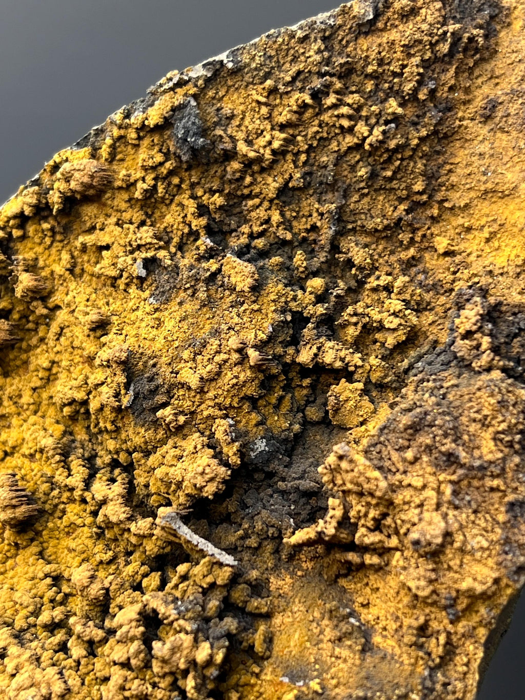 Museum Quality, Very Showy Special Limonite With Small Stalactites Goethite Specimen - Crystal Gemstone AE 