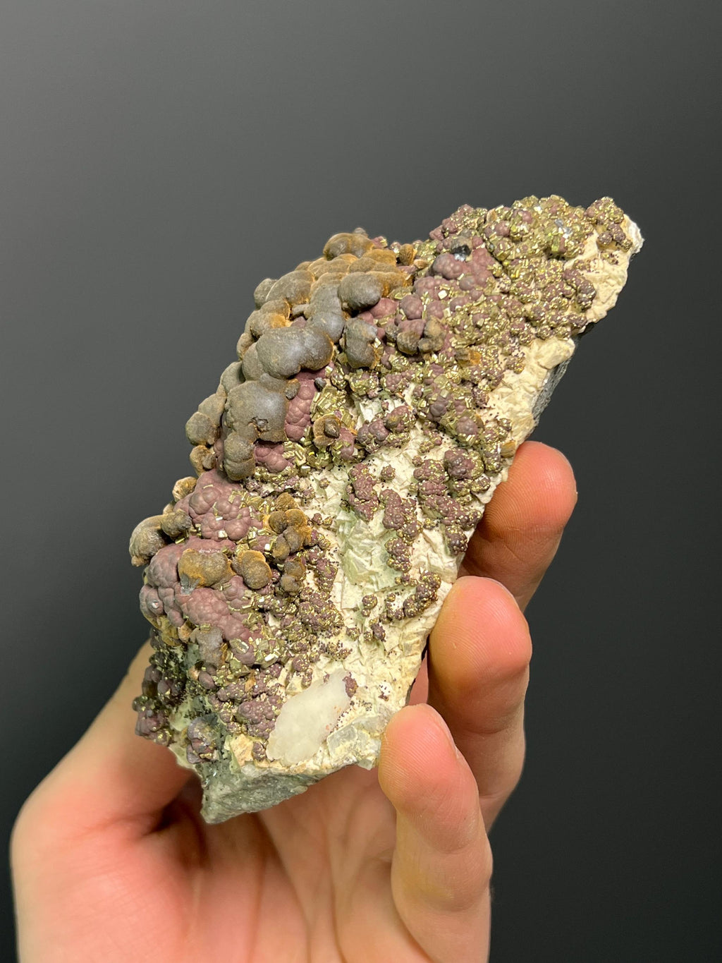 Reniform Goethite, Pyrite, and Marcasite Specimen, Wawa Ontario - Crystal Gemstone AE 