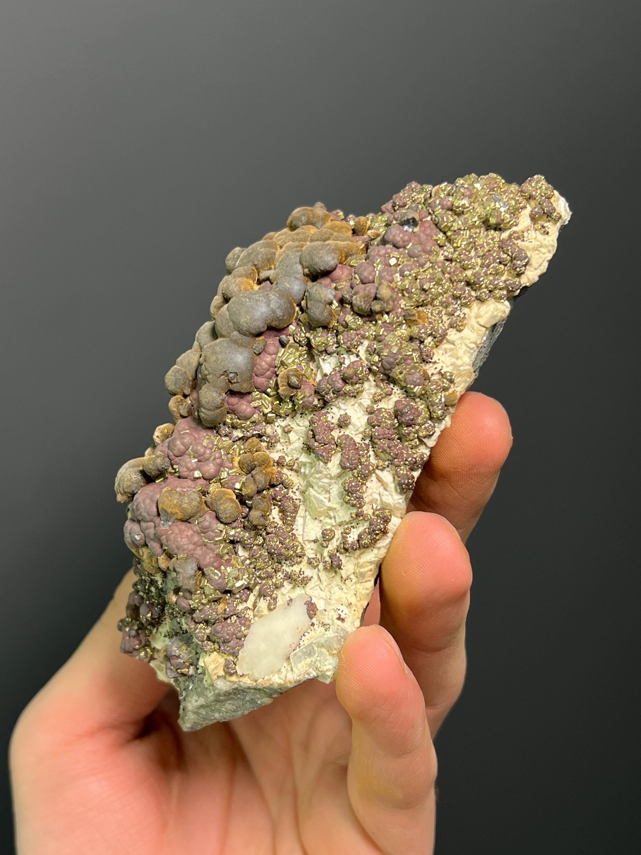 Reniform Goethite, Pyrite, and Marcasite Specimen, Wawa Ontario - Crystal Gemstone AE 