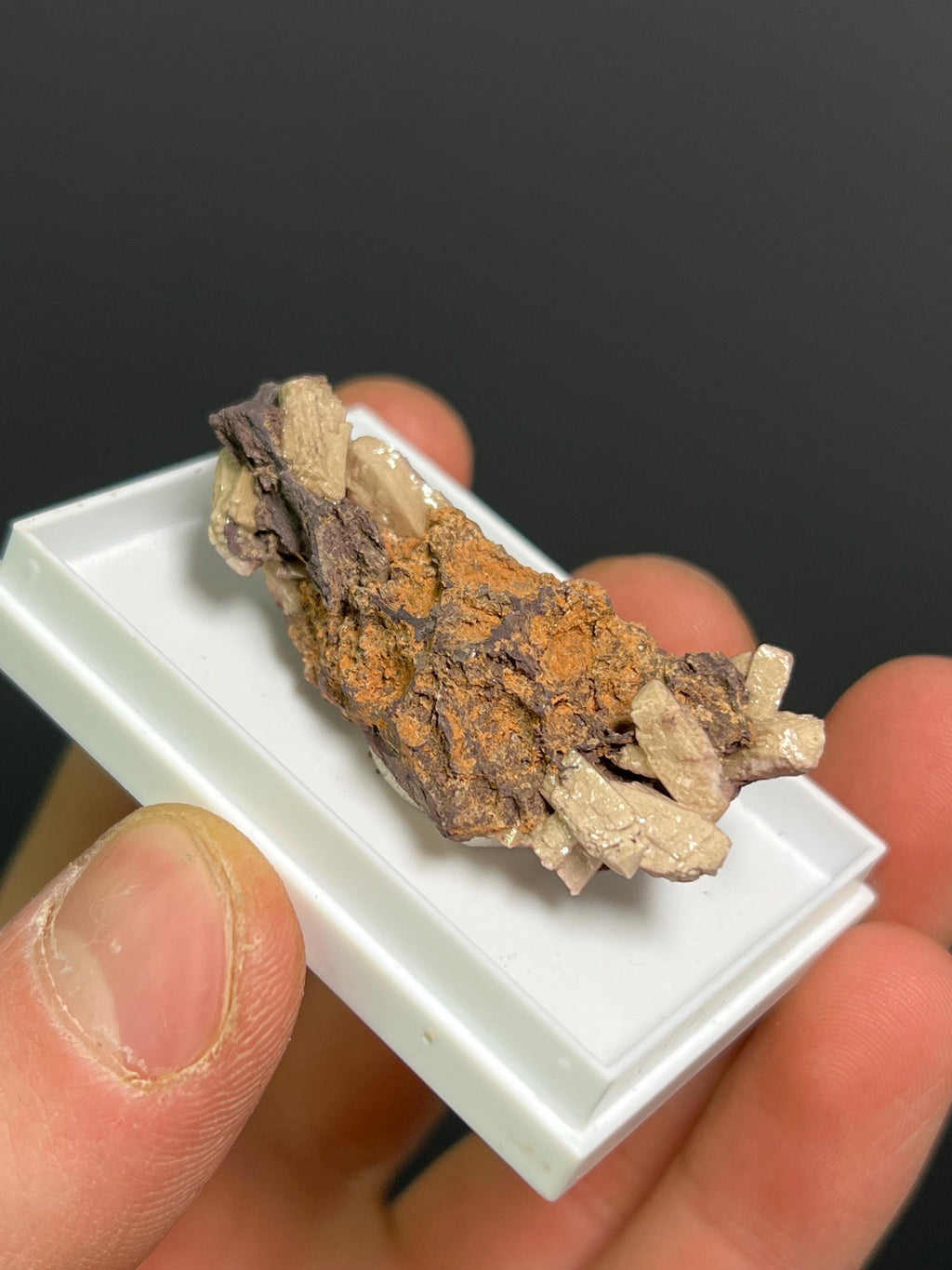 Very Rare And Unique Poldervaartite Specimen - Crystal Gemstone AE 