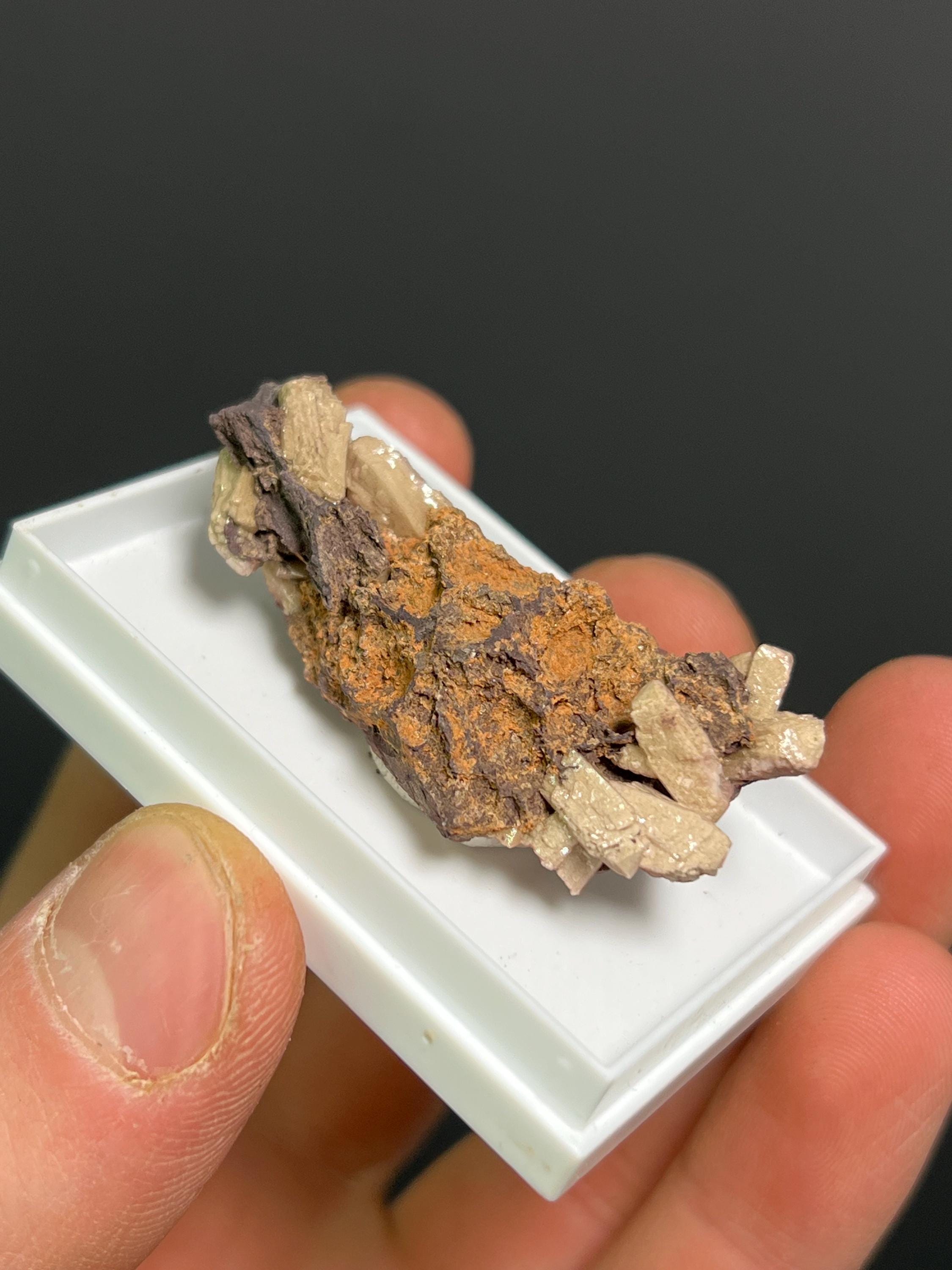 Very Rare And Unique Poldervaartite Specimen - Crystal Gemstone AE 
