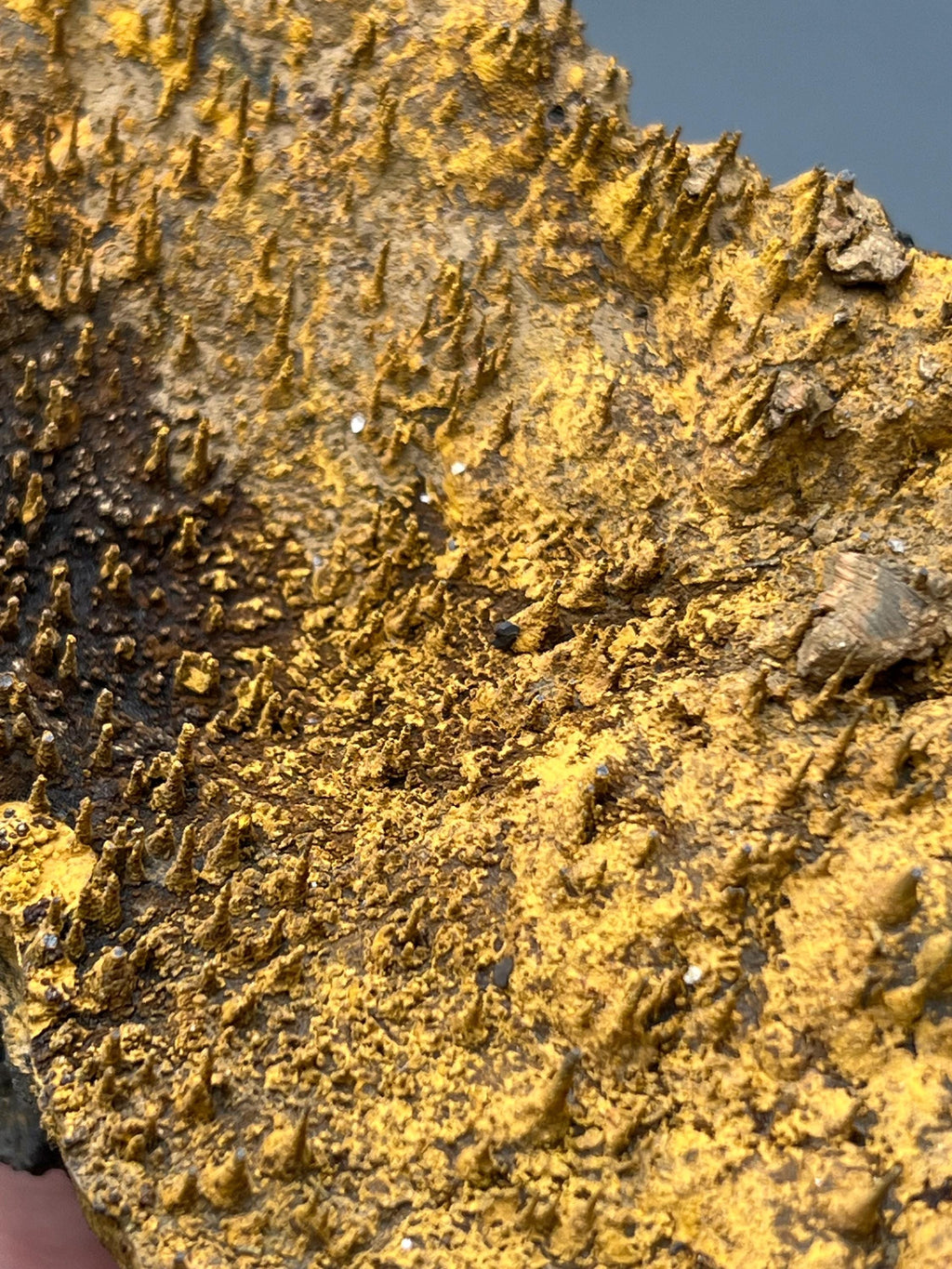 Museum quality, Very Showy Limonite On Stalactite Hematite, Special Collection Piece - Crystal Gemstone AE 