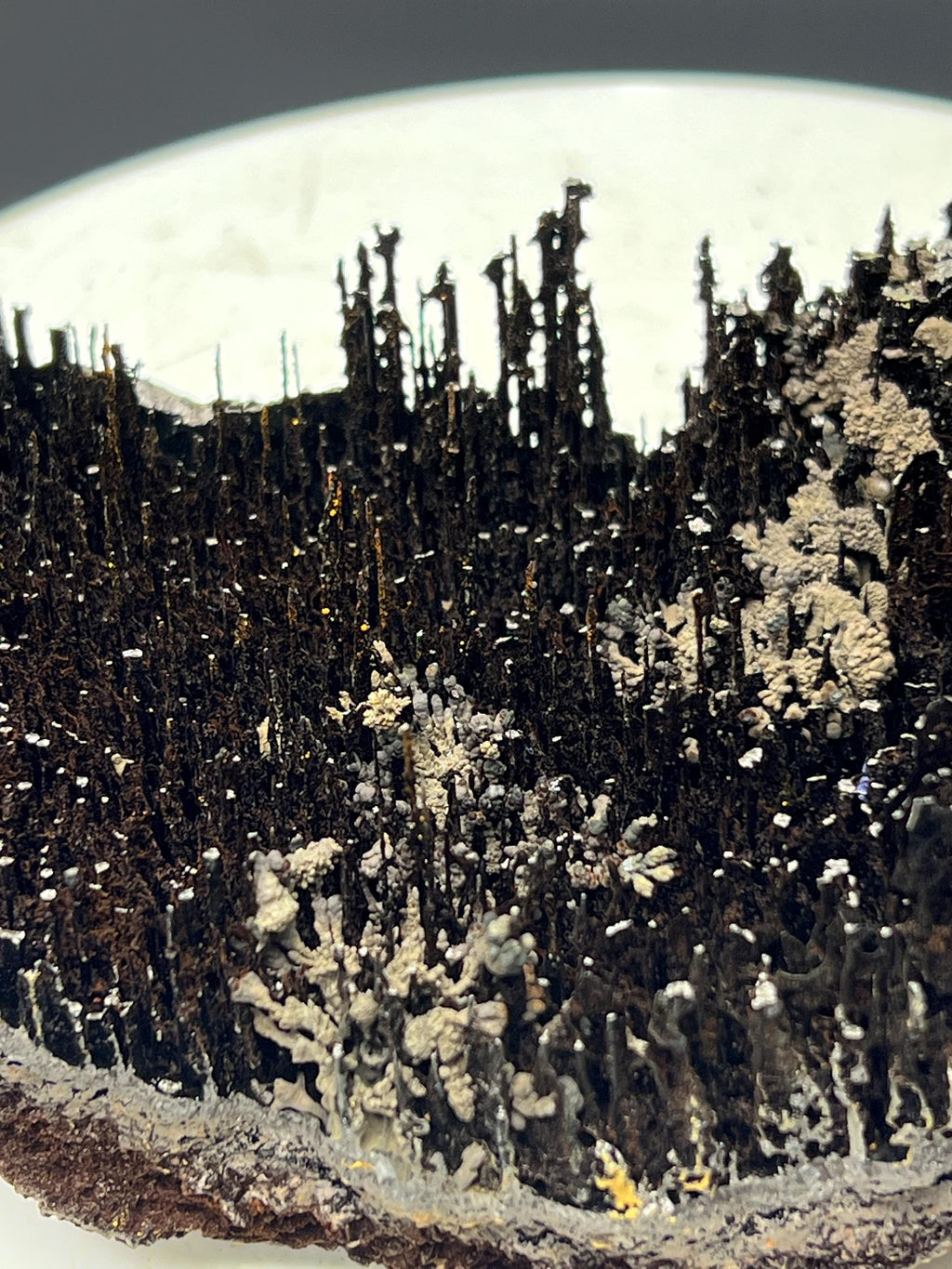Museum Grade, Very Showy Limonite And Specularite With Stalactite Goethite Specimen - Crystal Gemstone AE 