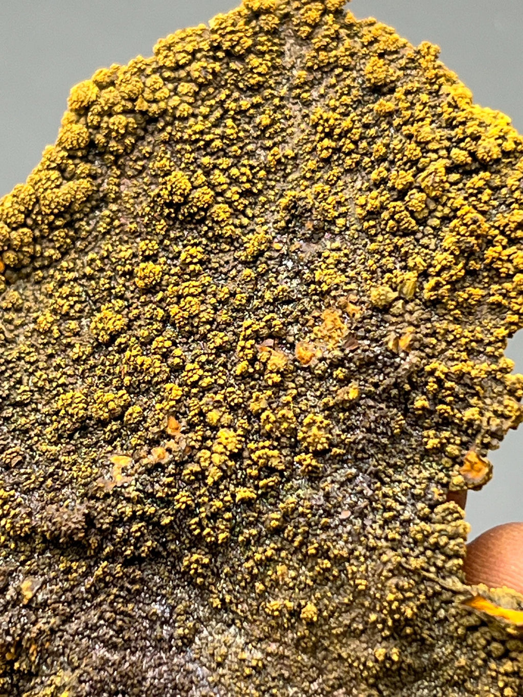 Very Special, 2 Sided Colored Alloy Limonite Mineral, From Turkey - Crystal Gemstone AE 