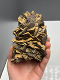 Museum quality, Large Size Limonite On Iron Siderite, From Turkey, Special Collection Piece - Crystal Gemstone AE 