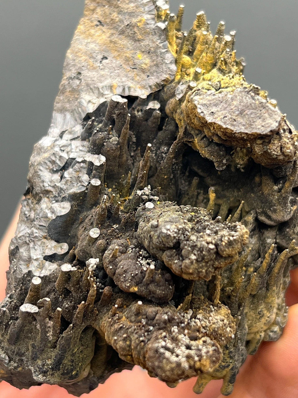Limonite On Stalactite Goethite Specimen - Crystal Gemstone AE 