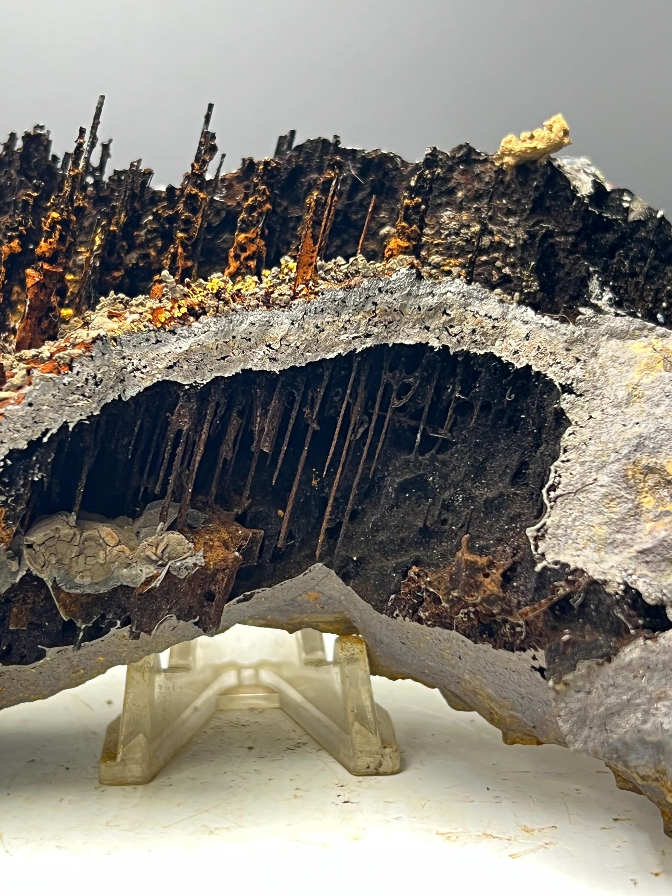 Museum Grade, Very Special Limonite And Specularite With Stalactite Goethite Specimen - Crystal Gemstone AE 