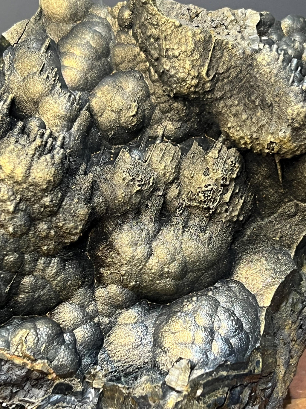 Museum Quality, Very Special Golden Color Stalactite And Botryoidal Formation Goethite Specimen - Crystal Gemstone AE 