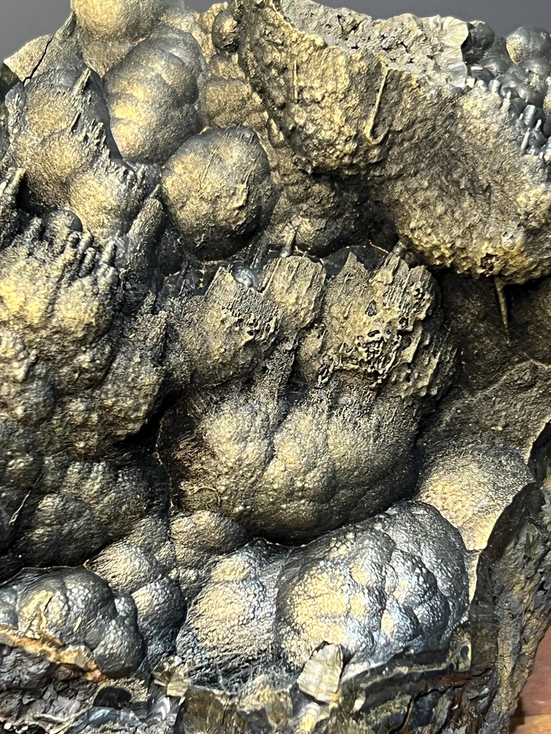 Museum Quality, Very Special Golden Color Stalactite And Botryoidal Formation Goethite Specimen - Crystal Gemstone AE 