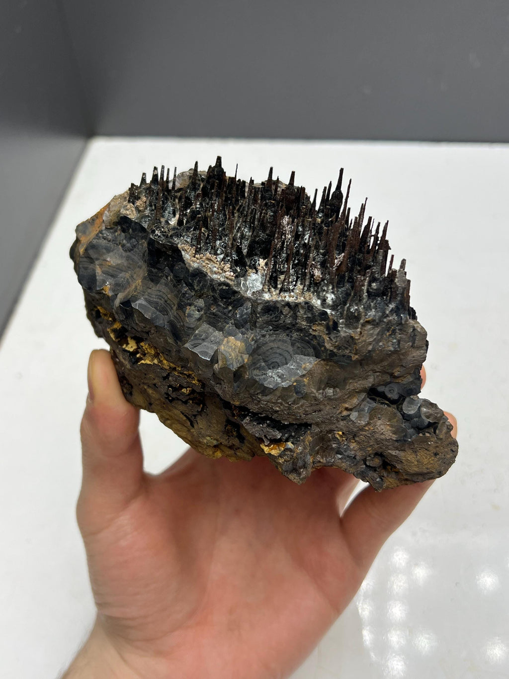 Museum quality, Very showy limonite and specularite on stalactite Goethite, special collections piece - Crystal Gemstone AE 