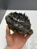 Museum quality, Very showy limonite and specularite on stalactite Goethite, special collections piece - Crystal Gemstone AE 