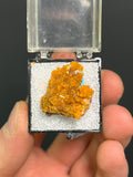 Museum Grade! Wulfenite On Mimetite Specimen - Crystal Gemstone AE 