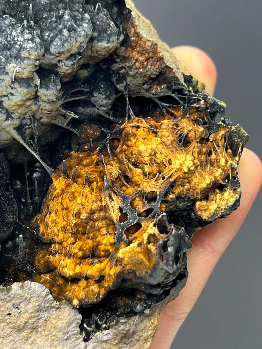 Museum Grade Limonite With Spider Web Formation Stalactite Goethite - Crystal Gemstone AE 