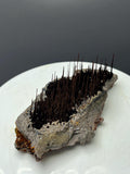Museum Grade, Limonite With Stalactite Forest Goethite, For Special Collection - Crystal Gemstone AE 