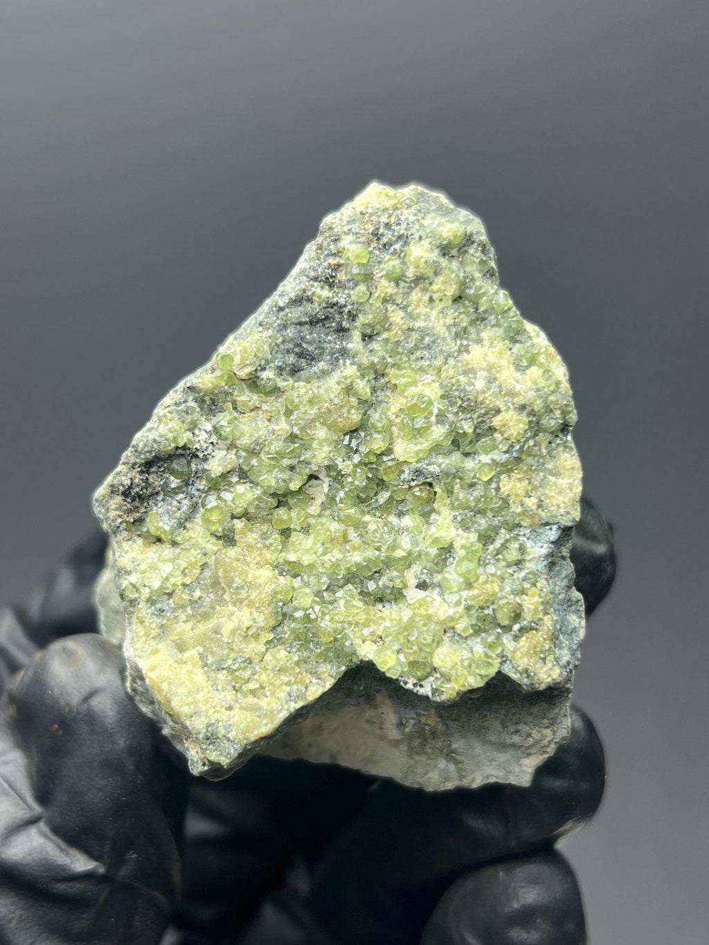 Peridot Specimen - Pakistan - Crystal Gemstone AE 