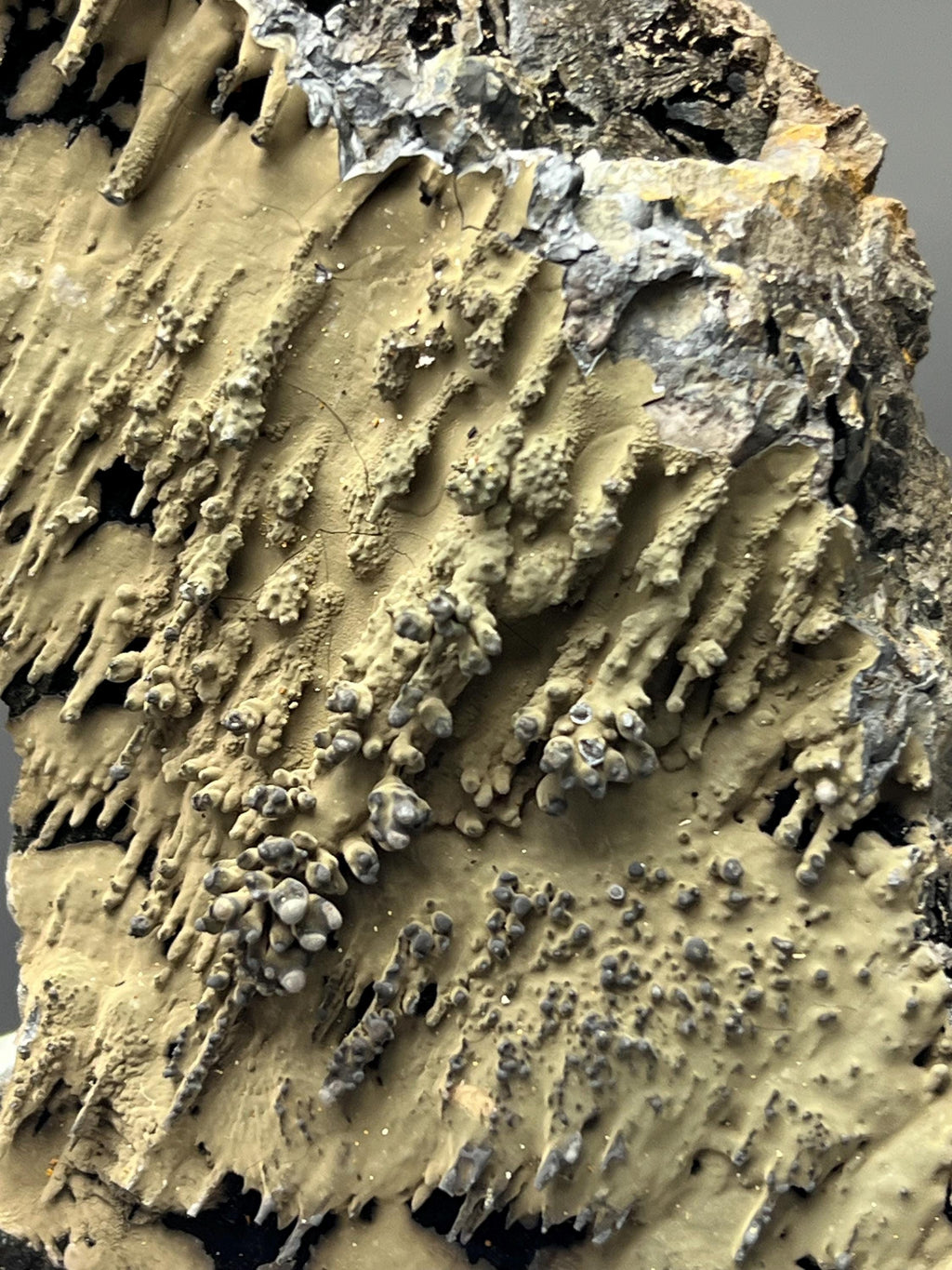 Very Special And Showy Specularite On Stalactite Goethite - Crystal Gemstone AE 