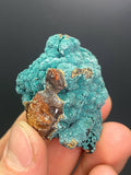 Rosasite Specimen - Morocco - Crystal Gemstone AE 