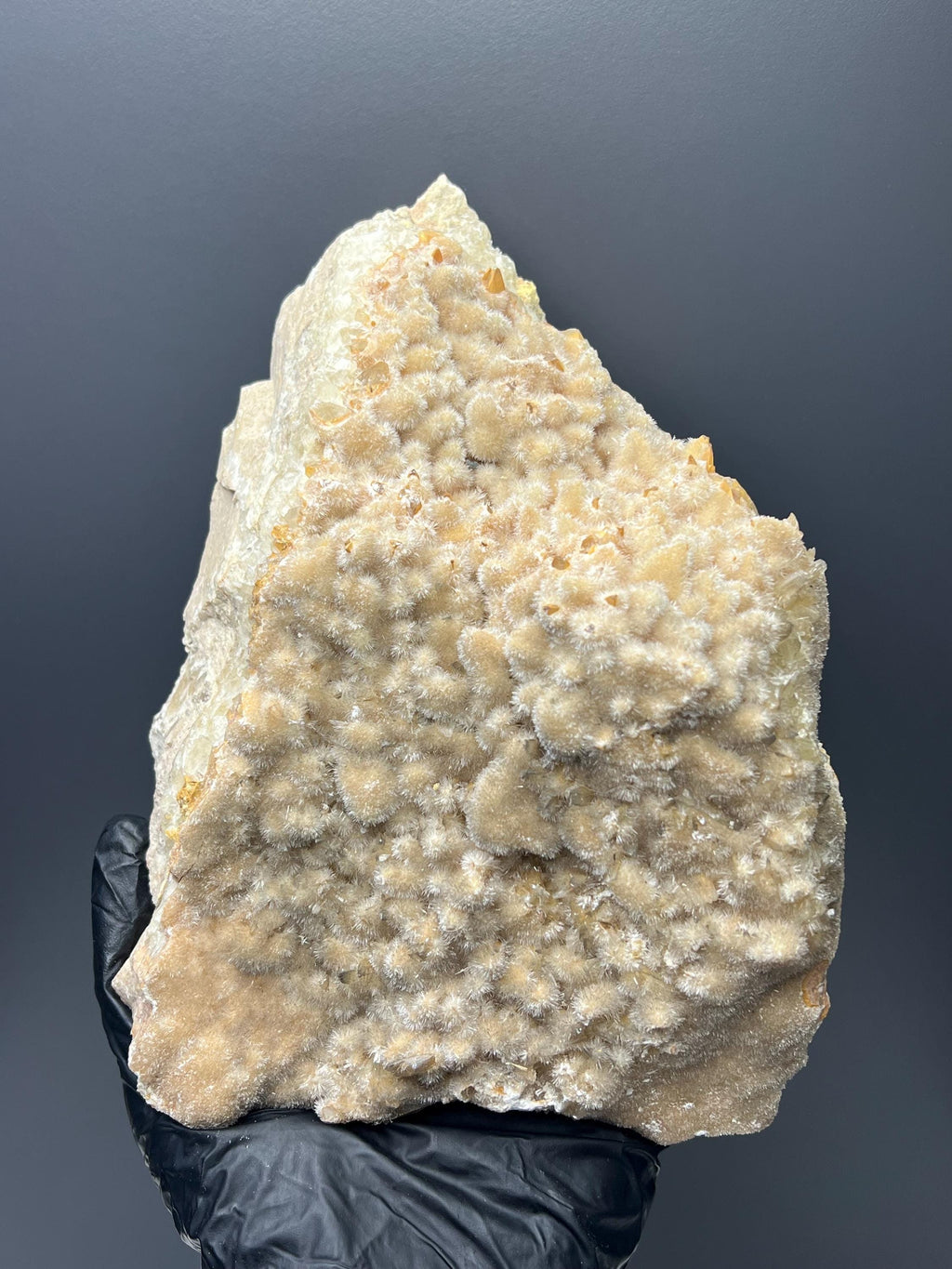 Feather Crystal Calcite Specimen - Crystal Gemstone AE 