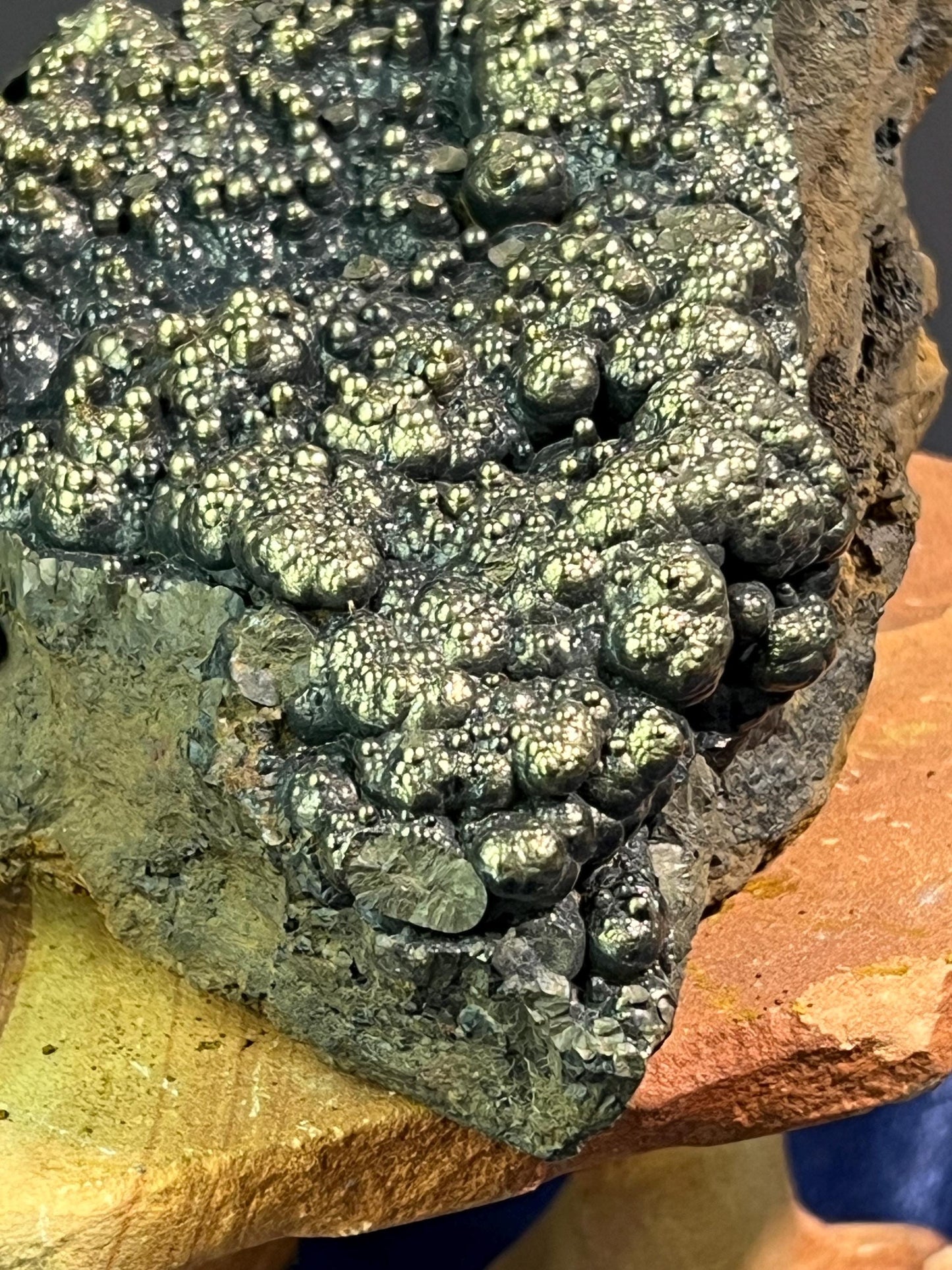 "Museum Grade" Golden Color Botryoidal Goethite - Crystal Gemstone AE 