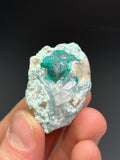 Dioptase On Matrix - Crystal Gemstone AE 