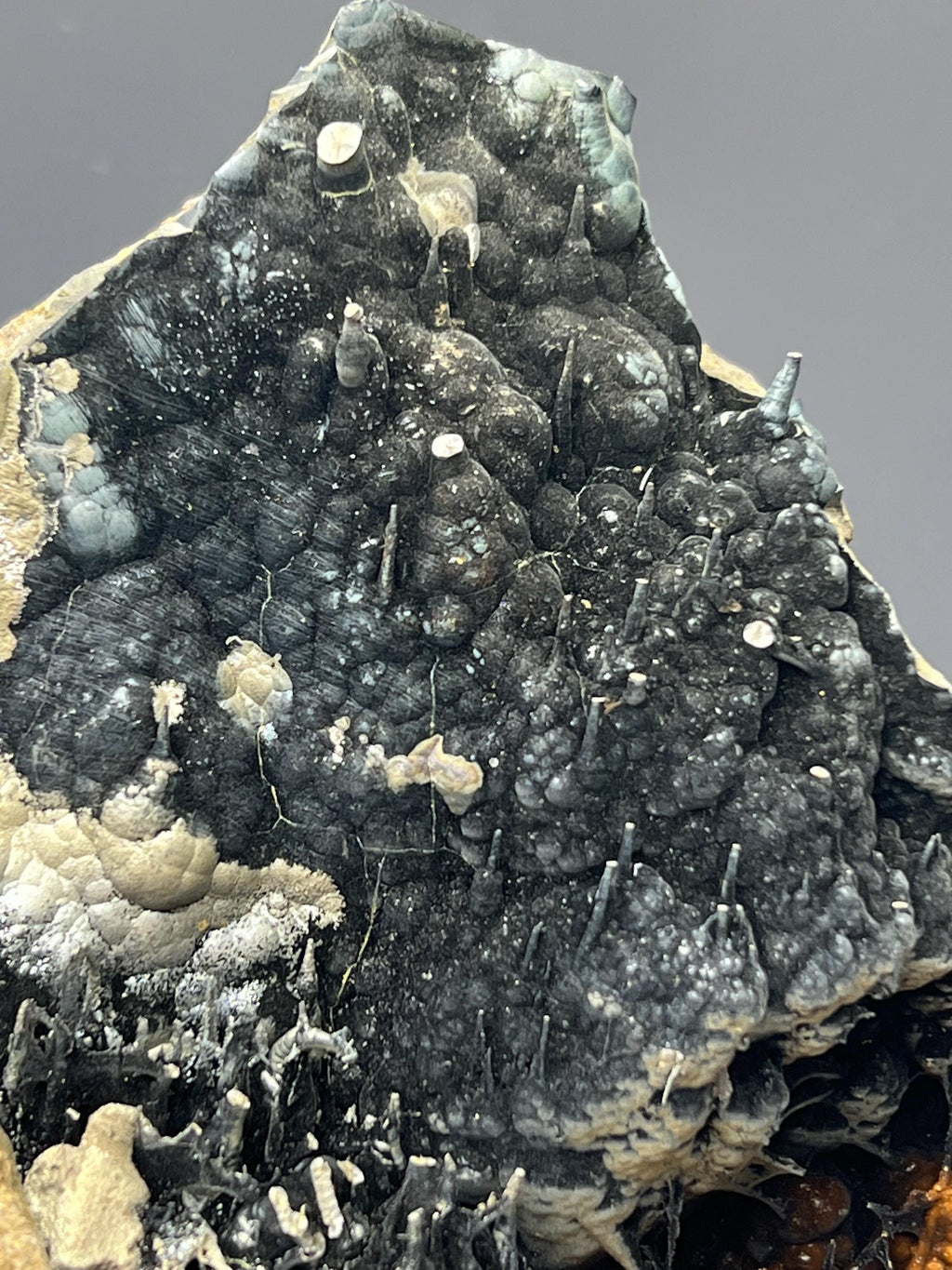 Museum Grade Limonite With Spider Web Formation Stalactite Goethite - Crystal Gemstone AE 