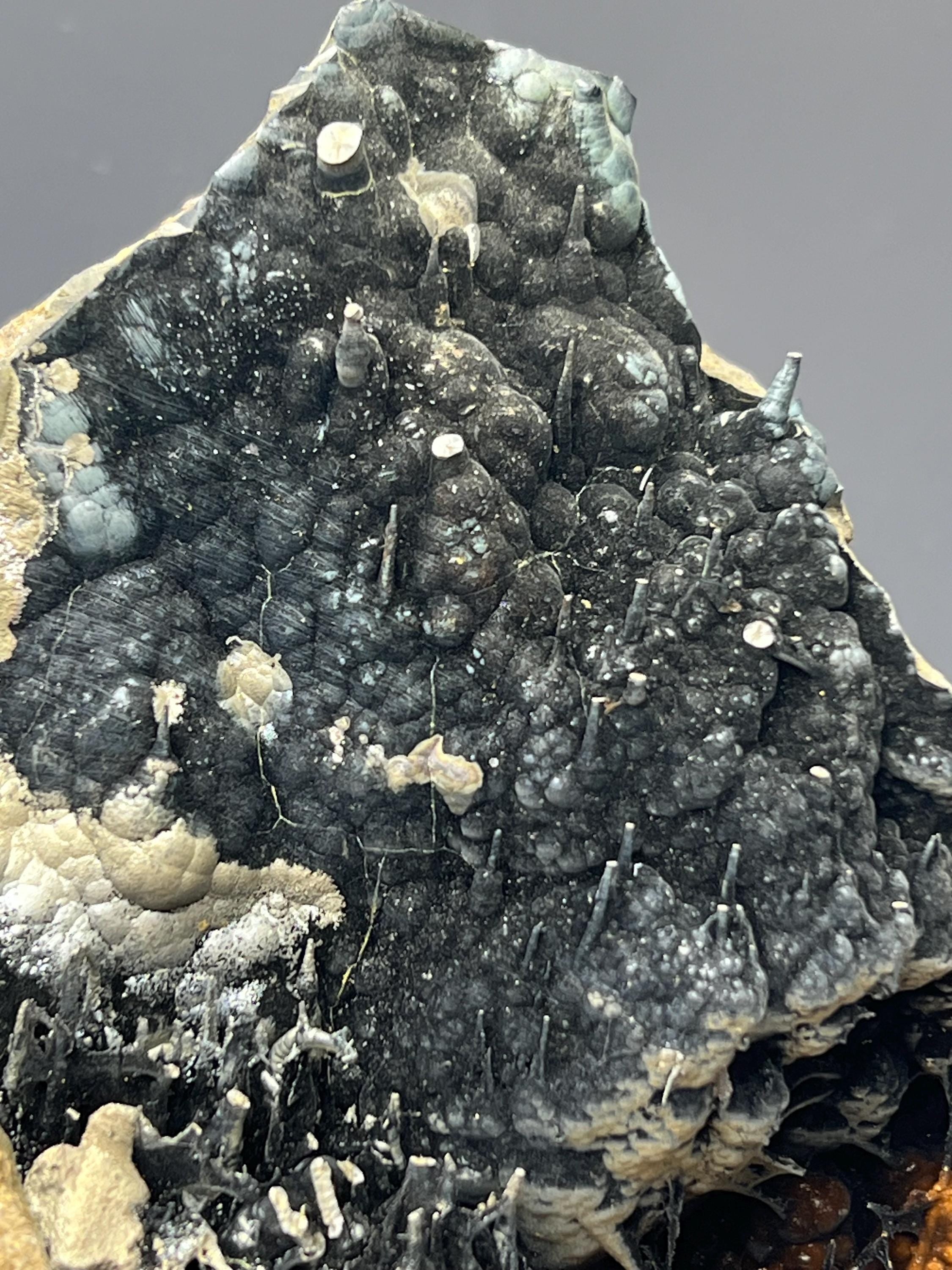 Museum Grade Limonite With Spider Web Formation Stalactite Goethite - Crystal Gemstone AE 