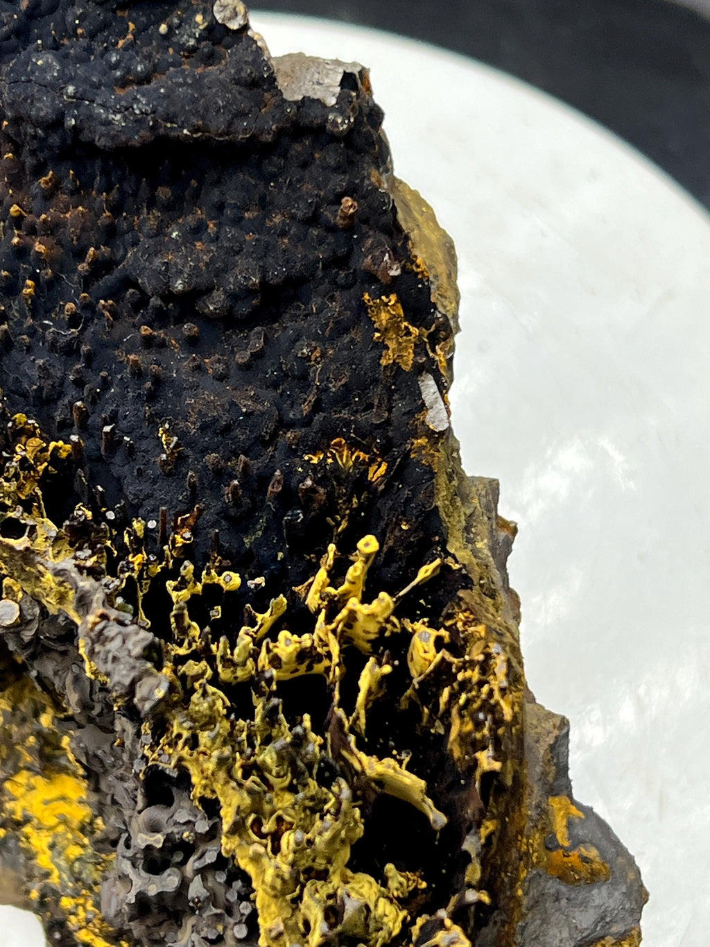Very Showy, Limonite And Specularite With Stalactite Goethite Specimen - Crystal Gemstone AE 