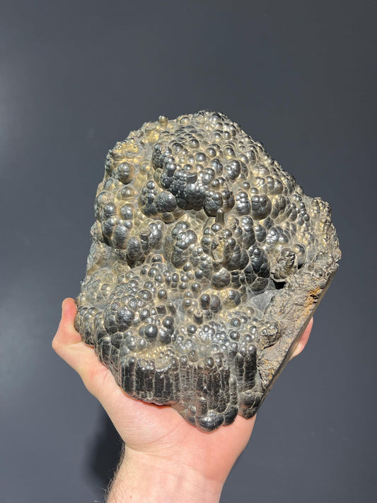 Museum Quality Showy Large Size Golden Color Botryoidal Goethite - Crystal Gemstone AE 