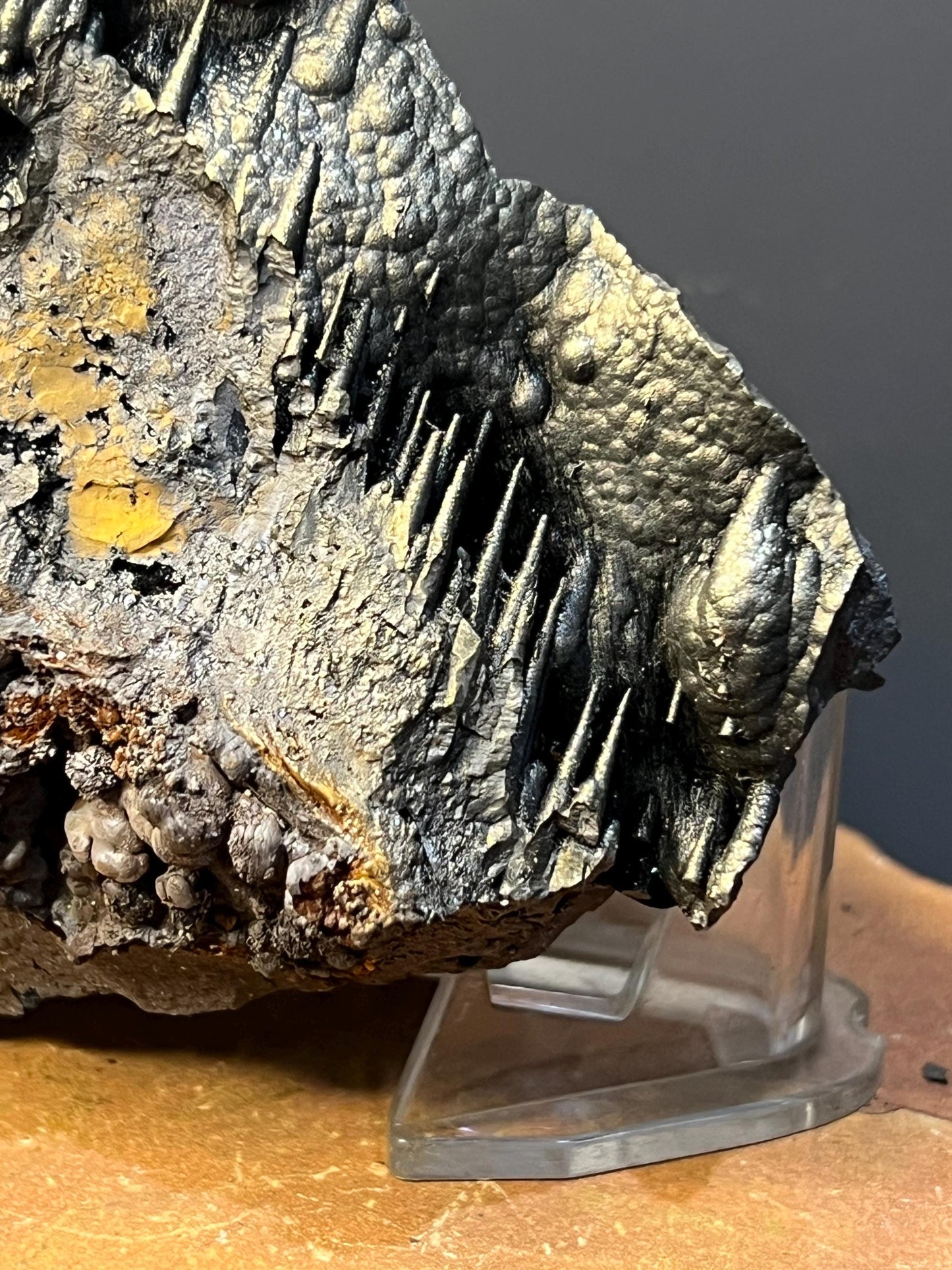Museum Quality! Golden Color Stalactite Goethite Specimen, For Special Collection - Crystal Gemstone AE 