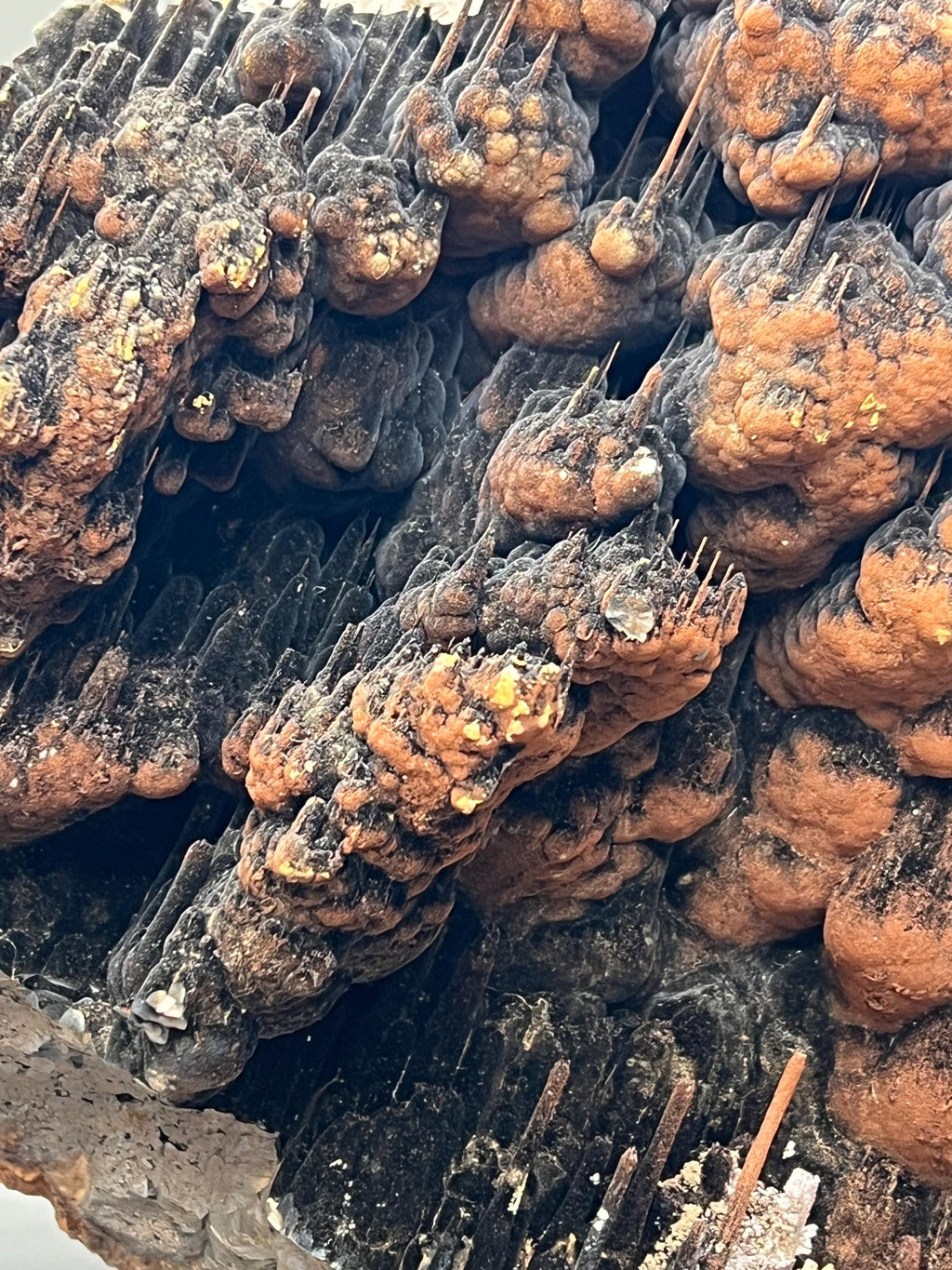 Limonite And Specularite On Stalactite Goethite Specimen - Crystal Gemstone AE 
