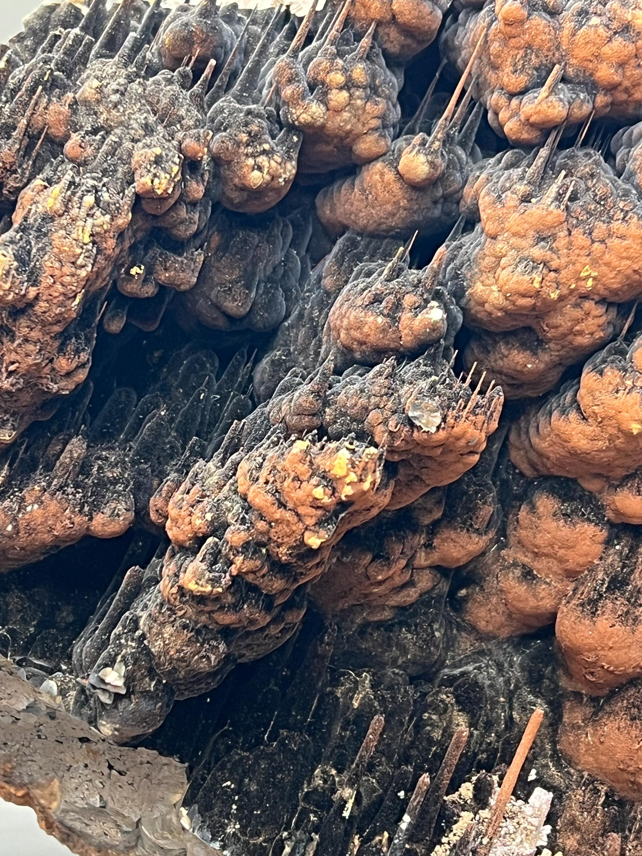Limonite And Specularite On Stalactite Goethite Specimen - Crystal Gemstone AE 