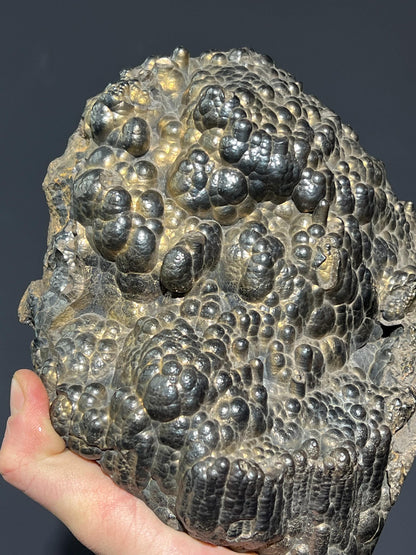 Museum Quality Showy Large Size Golden Color Botryoidal Goethite - Crystal Gemstone AE 