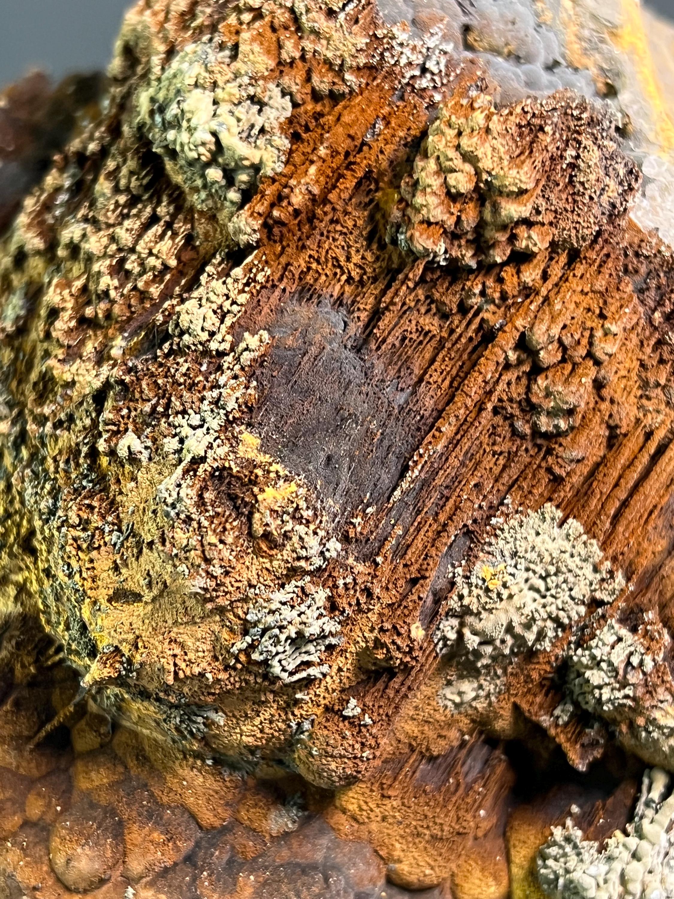 Museum Grade Limonite And Specularite On Stalactite And Botryoidal Formation Goethite - Crystal Gemstone AE 