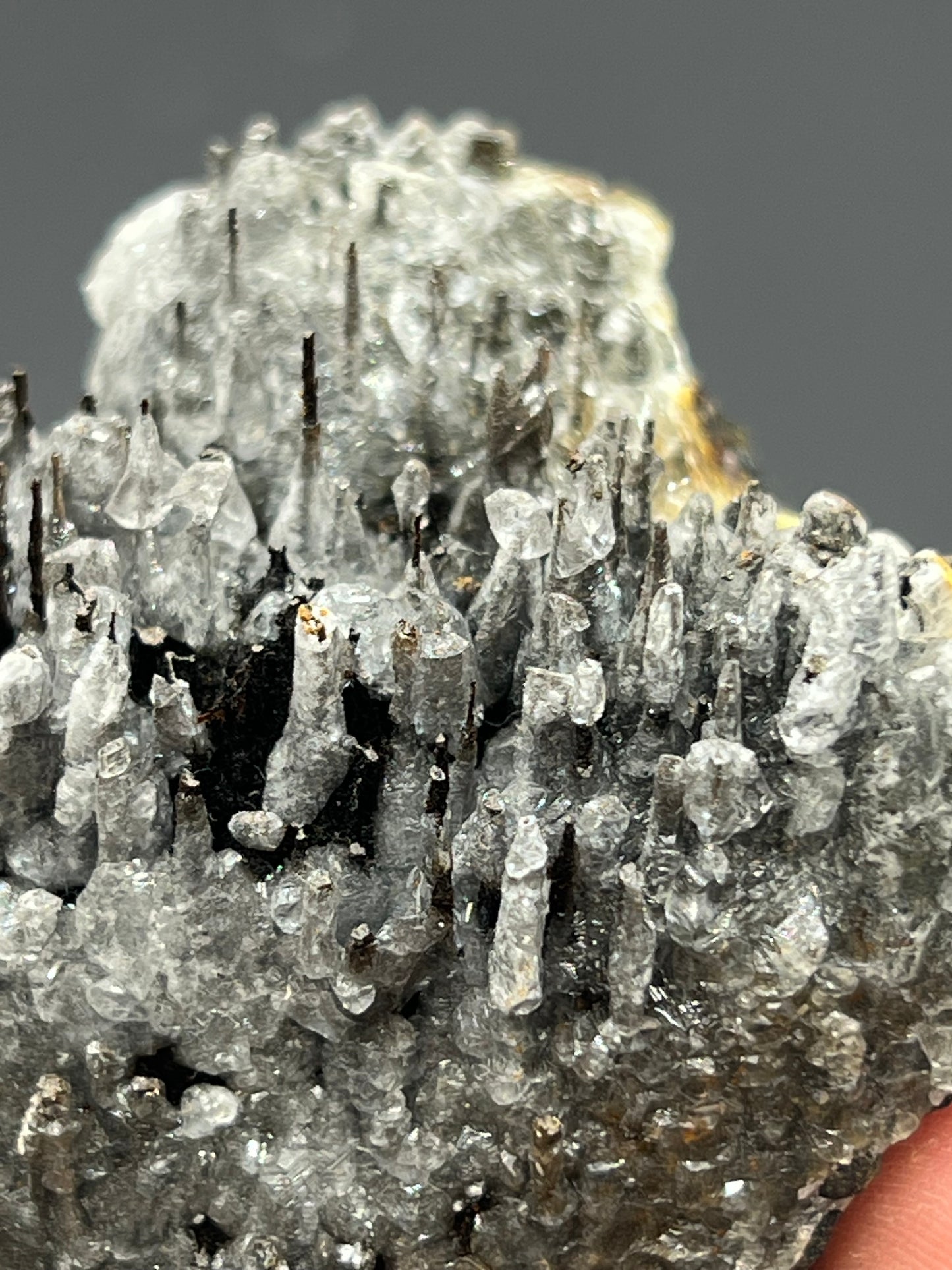 Museum Quality! Crystal Calcite On Stalactite Hematite