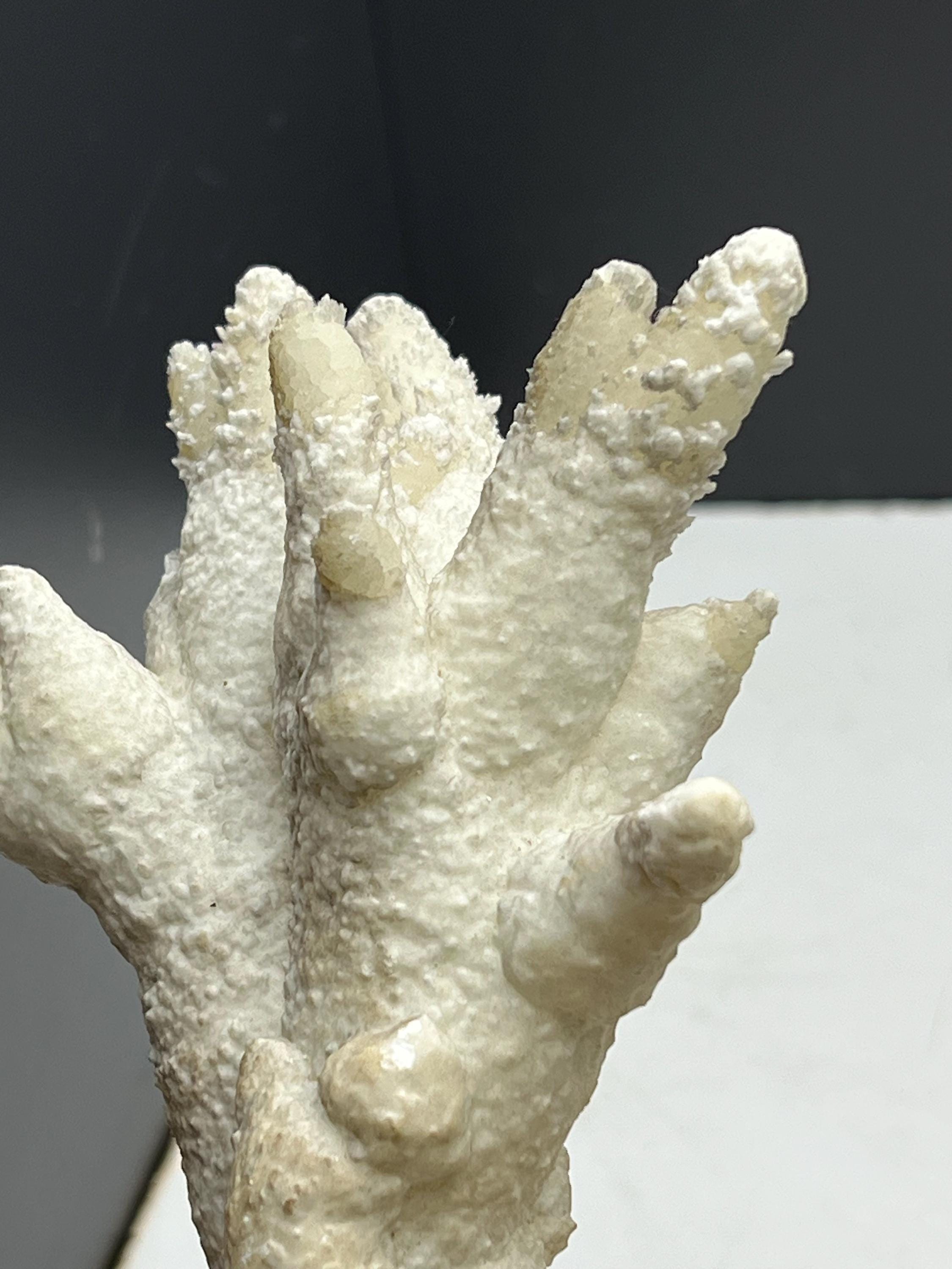 Very Special And Showy Stalactite Aragonite Mineral, From Turkey - Crystal Gemstone AE 