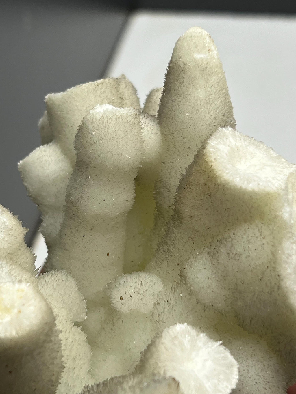 Special And Showy Stalactite Aragonite Mineral, From Turkey - Crystal Gemstone AE 