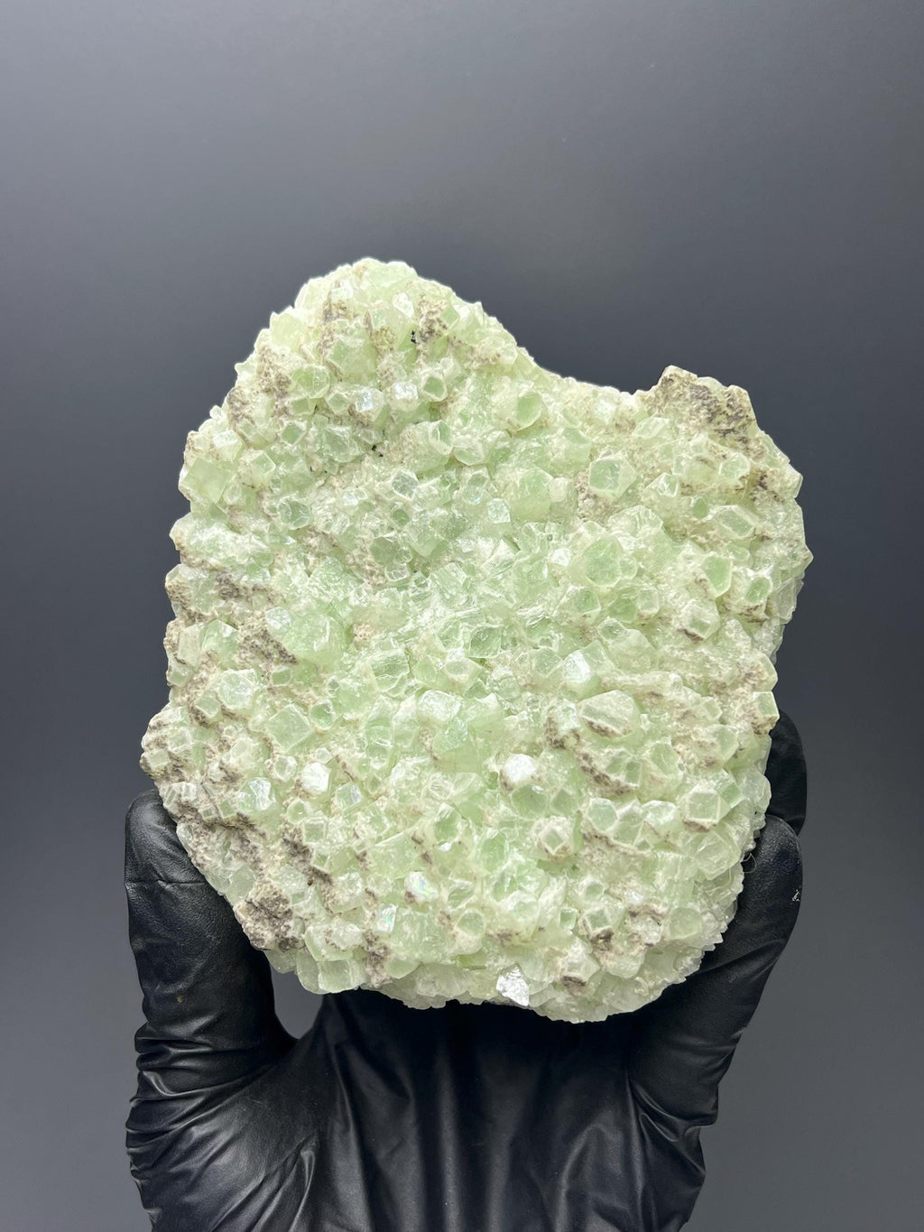 Indian Apophyllite Specimen: "Bringer of Light" Crystal - Crystal Gemstone AE 