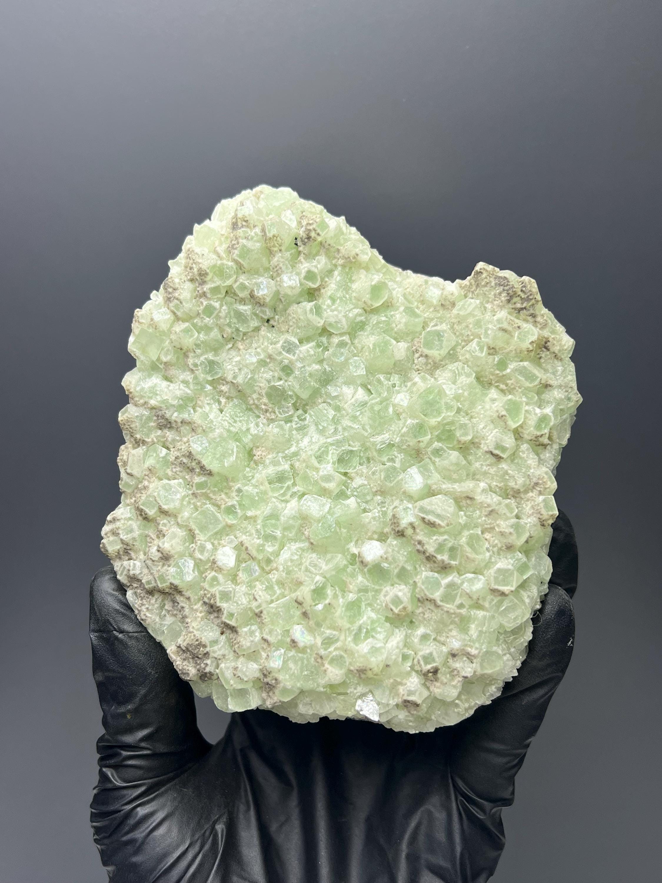 Indian Apophyllite Specimen: "Bringer of Light" Crystal - Crystal Gemstone AE 