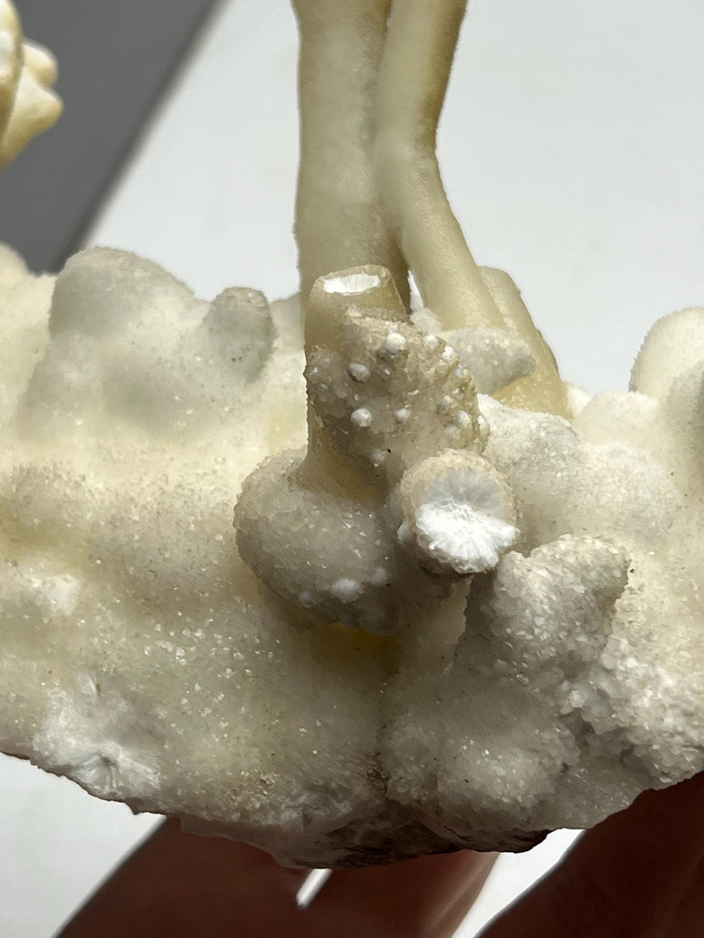 Very Special And Showy Stalactite And Botryoidal Formed Aragonite, From Turkey - Crystal Gemstone AE 