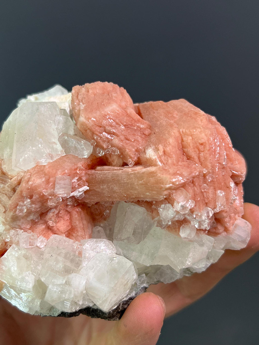 Pink Halite With Apophyllite - Crystal Gemstone AE 