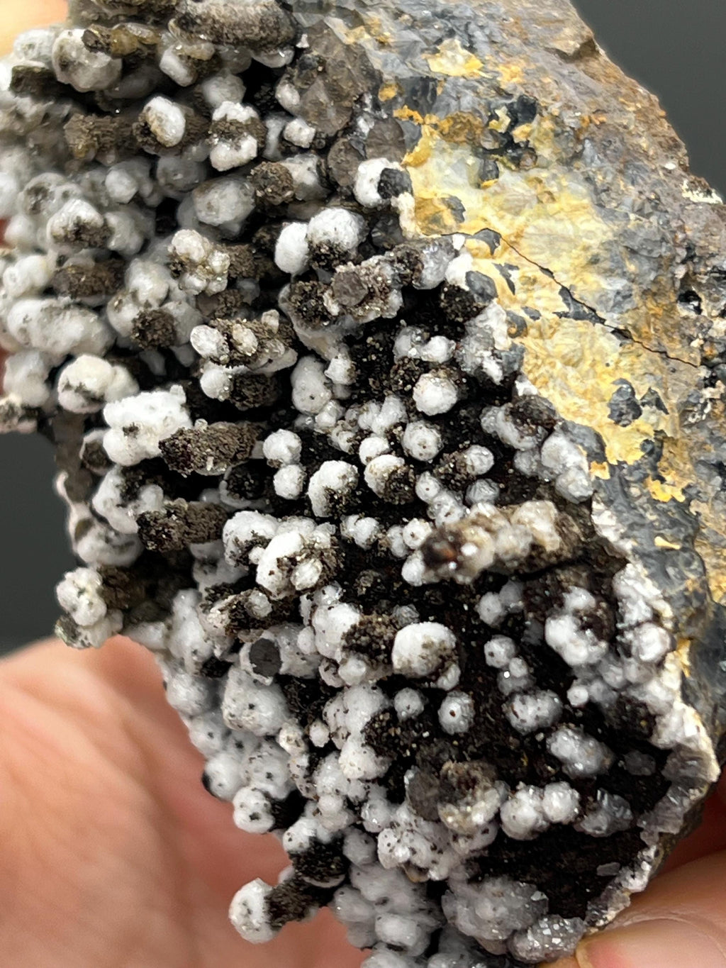 Museum Grade Snow Crystal Calcite On Stalactite Hematite - Crystal Gemstone AE 