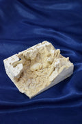 Crab Fosille From Turkey - Crystal Gemstone AE 