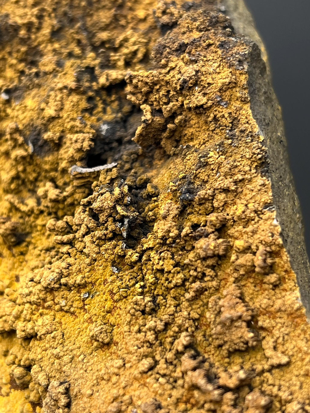 Museum Quality, Very Showy Special Limonite With Small Stalactites Goethite Specimen - Crystal Gemstone AE 
